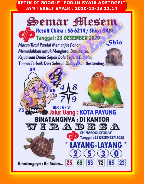 ᑔᑔ Syair hk opesia 24 desember 2020 