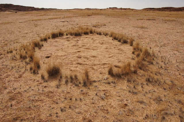 circles of Namibia