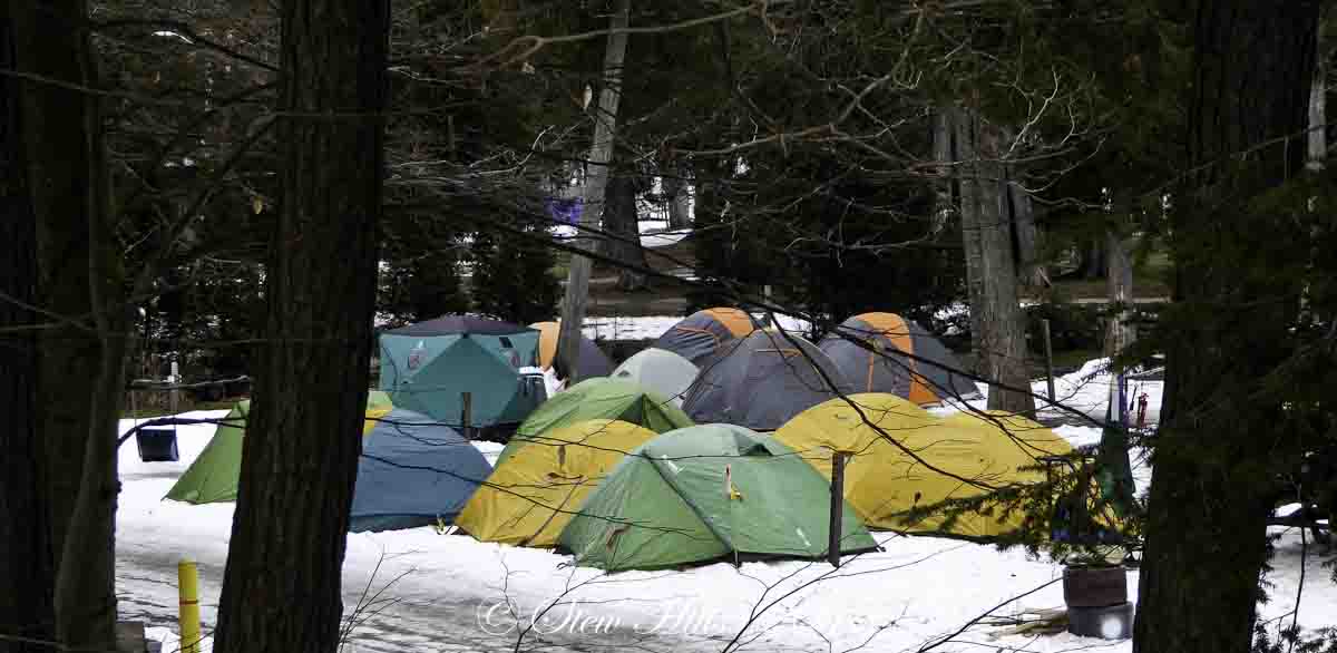 Seasons In The Valley Furry Gnome S Adventures Winter Scout Camp