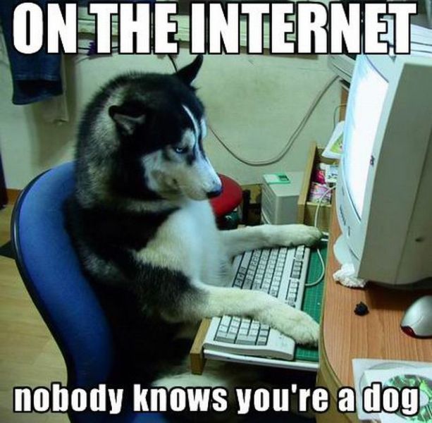 [Image: on_the_internet_nobody_knows_you_re_a_dog.jpg]