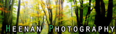 Heenan Photography banner image