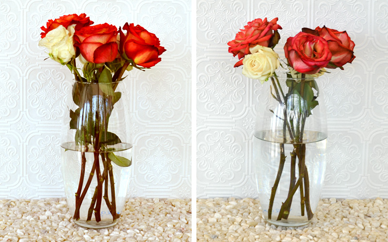 5 Best ways to increase flower lifespan