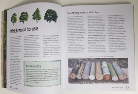 Forest Craft: A Child's Guide to Whittling in the Woodland [Book]