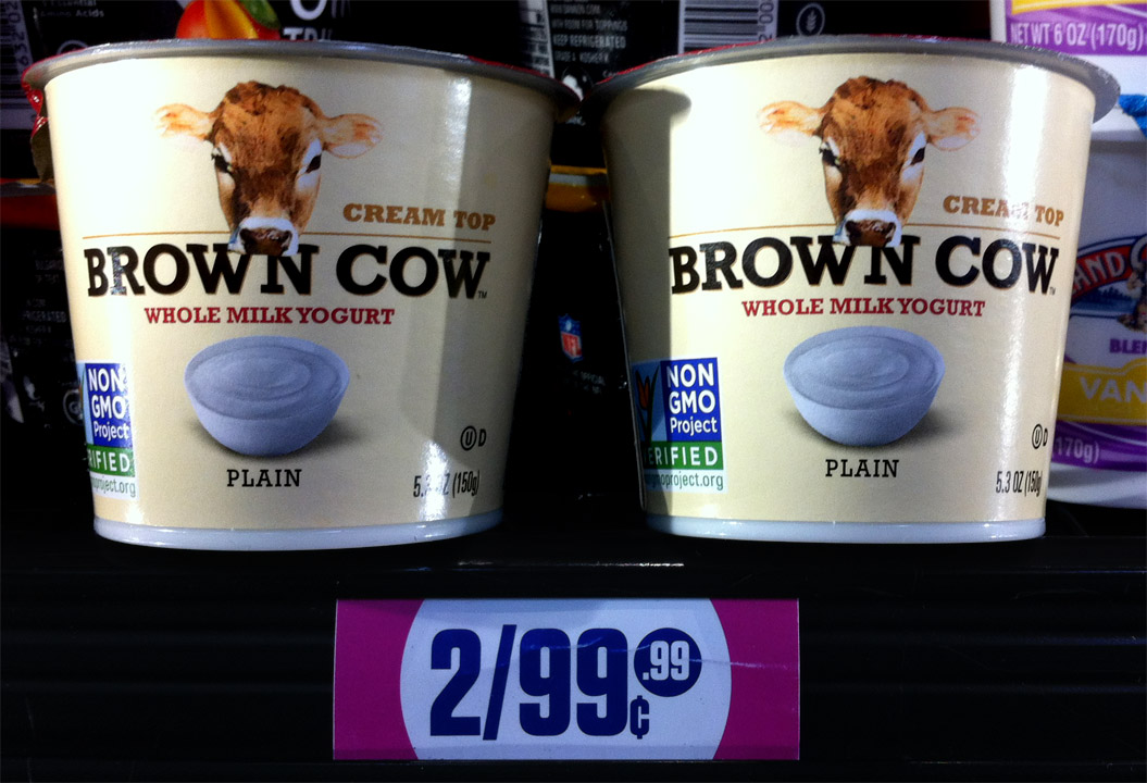 The 99 Cent Chef Kiwi & Yogurt Recipe