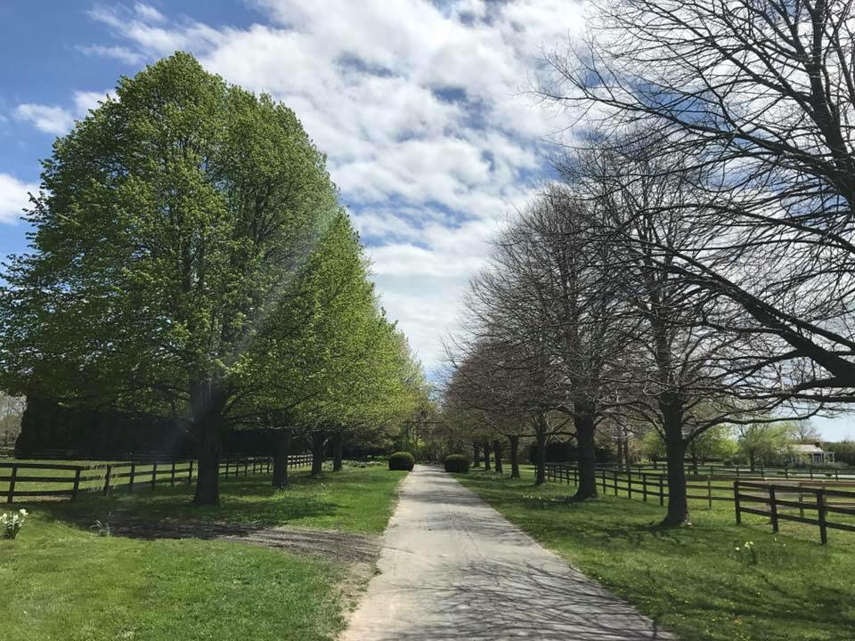 Wölffer Estate Stables [ Stable Insider ]