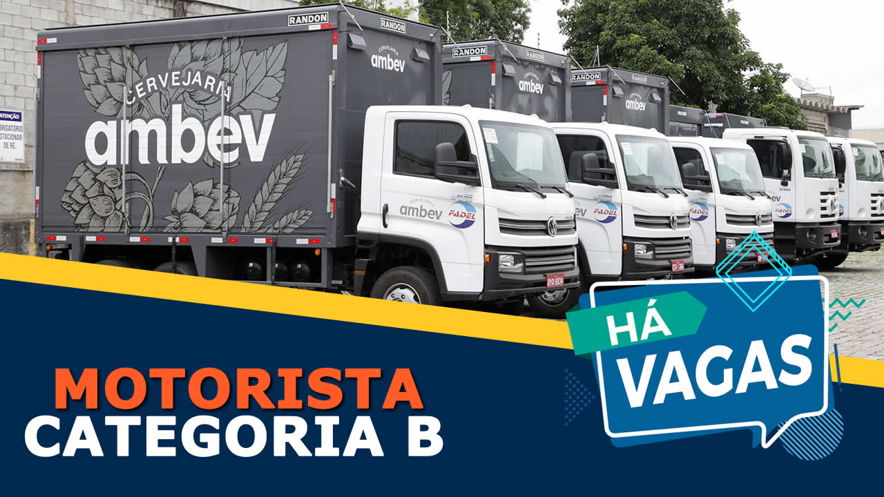 vaga para motorista categoria B