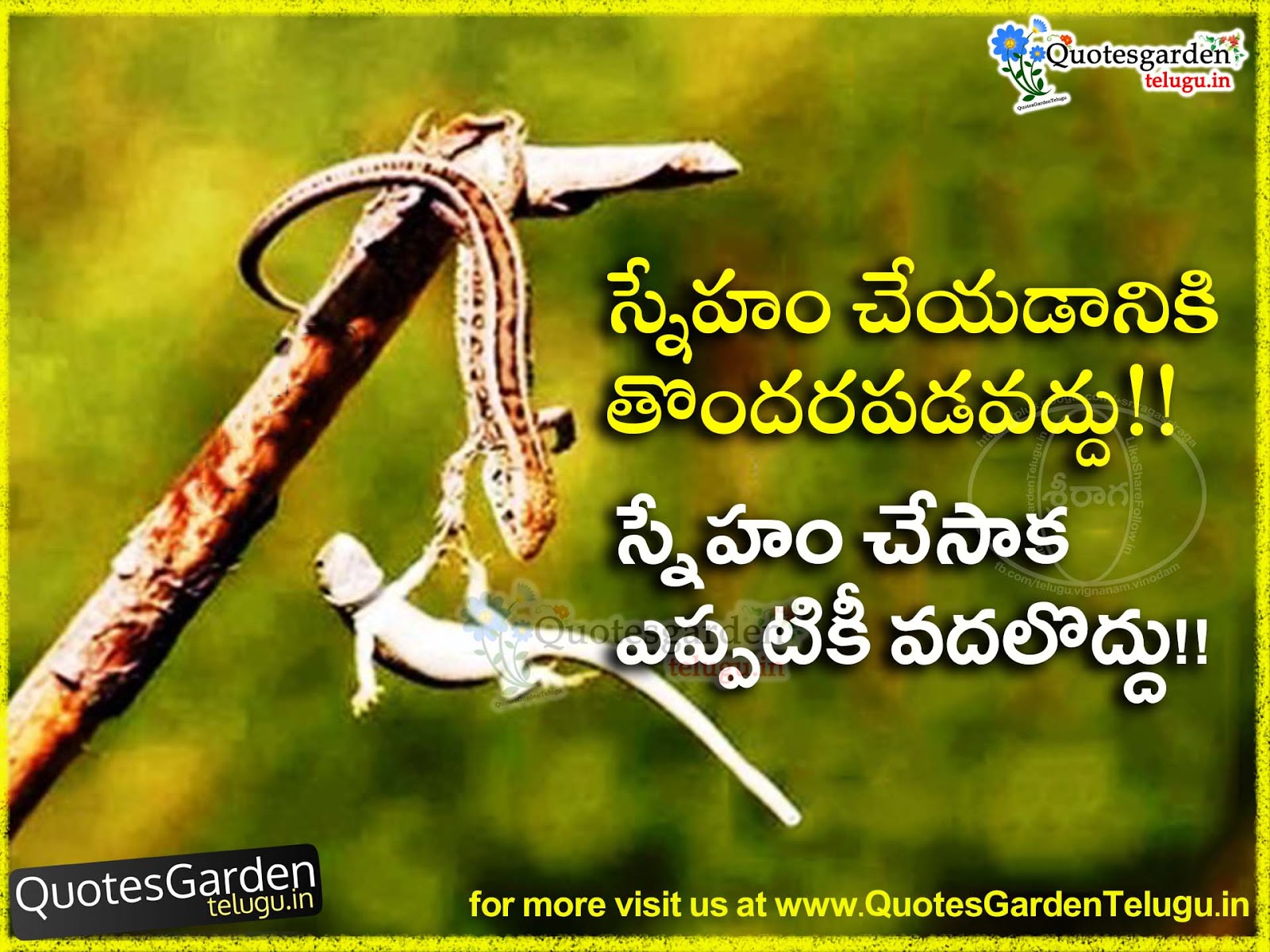 True Friendship Friendship Quotes Telugu Download 35 Quotes
