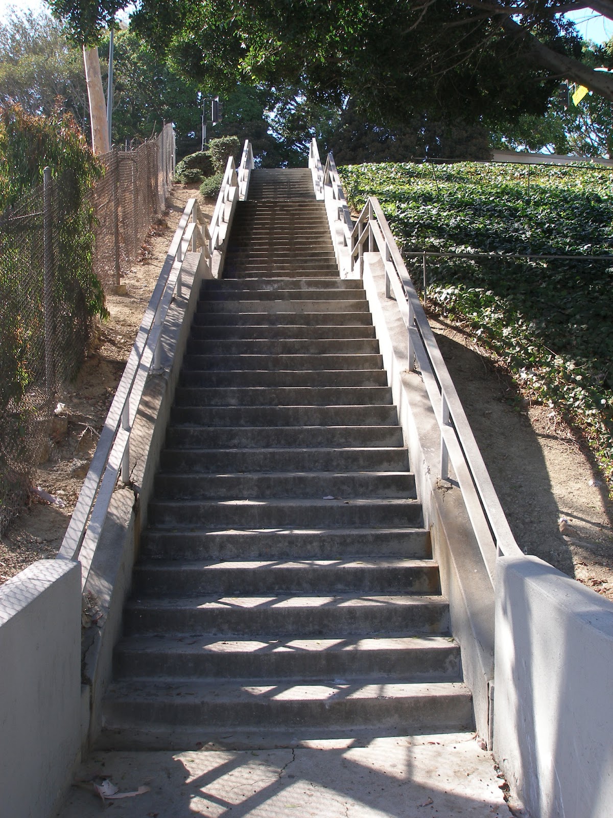 55 Simple Stairs workout los angeles for Beginner
