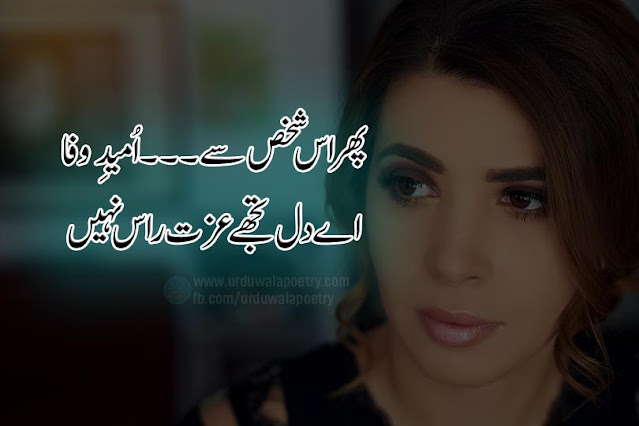 kisi-se-umeed-mat-rakhna-shayari