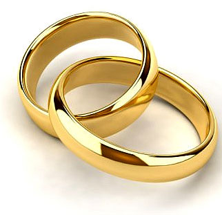 Wedding Invite Blank Card With Gold Rings And Flowers Stock Photo Picture And Royalty Free Image Image 21745817