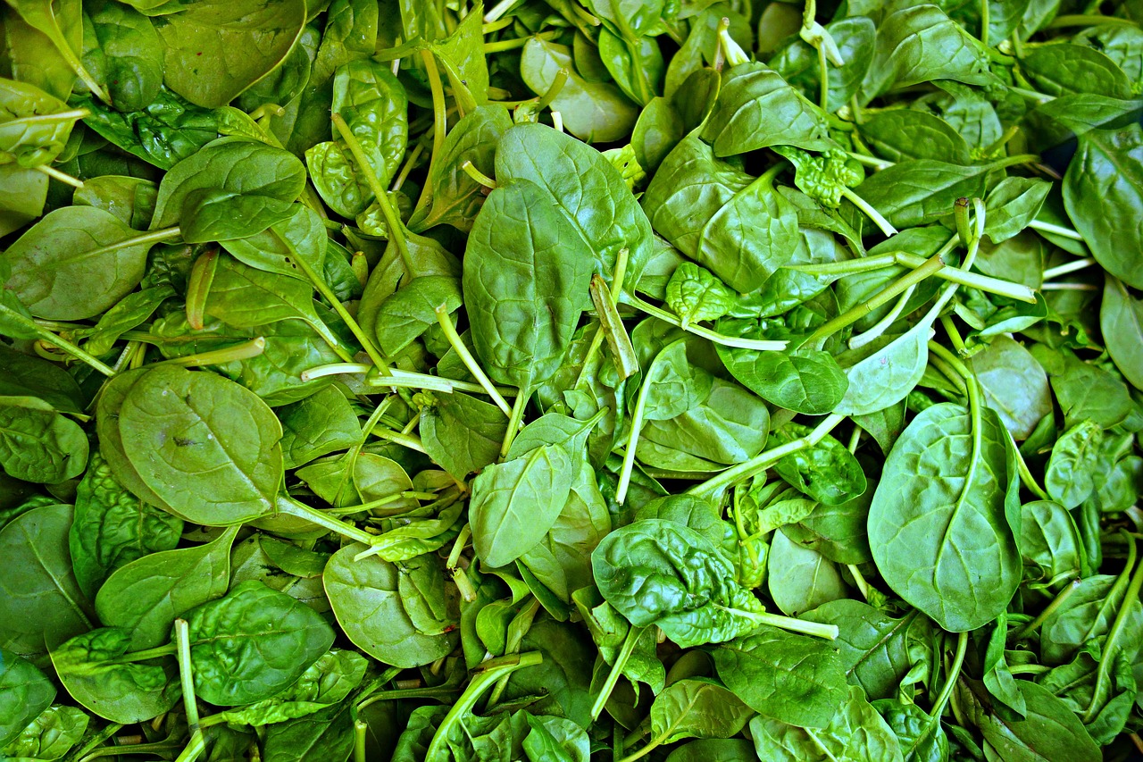 History of food: 5 interesting facts about Spinach