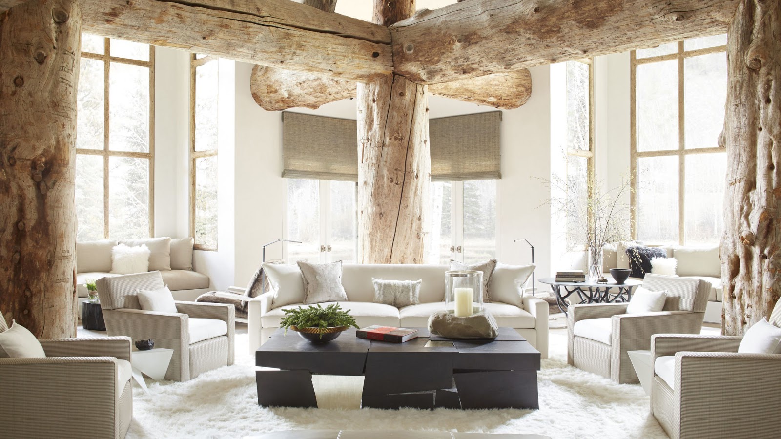 Dragonfly Designs Contemporary Rustic Style In Aspen With