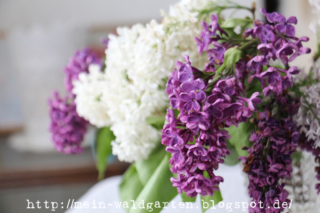 Gieen Men Encounter Dating With Pretty Individuals May 2020