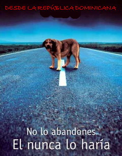 PROTEGE LOS ANIMALES