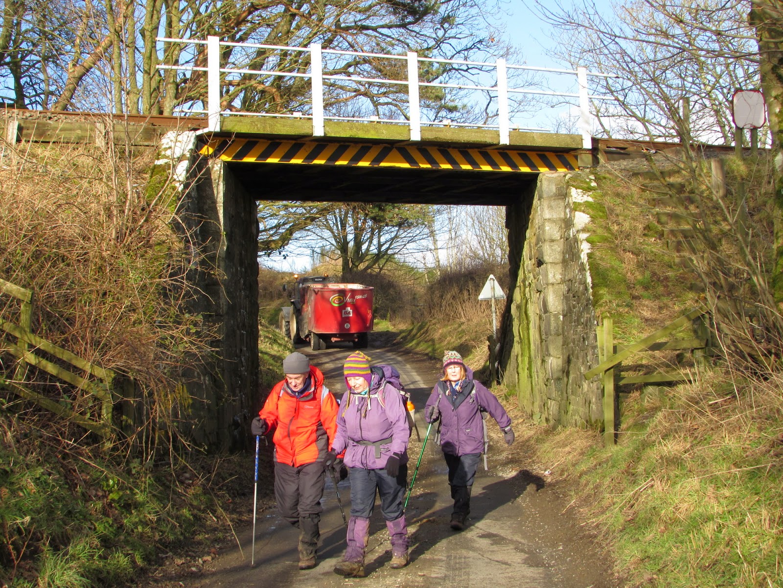 The Glebe Blog Wigtownshire RamblersSt Helena IslandGlenluce Abbey January 2015