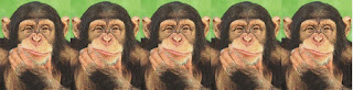 Five chimpanzees