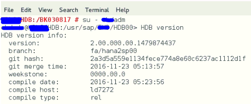 How to check SAP HANA database version in OS level - Techrelam