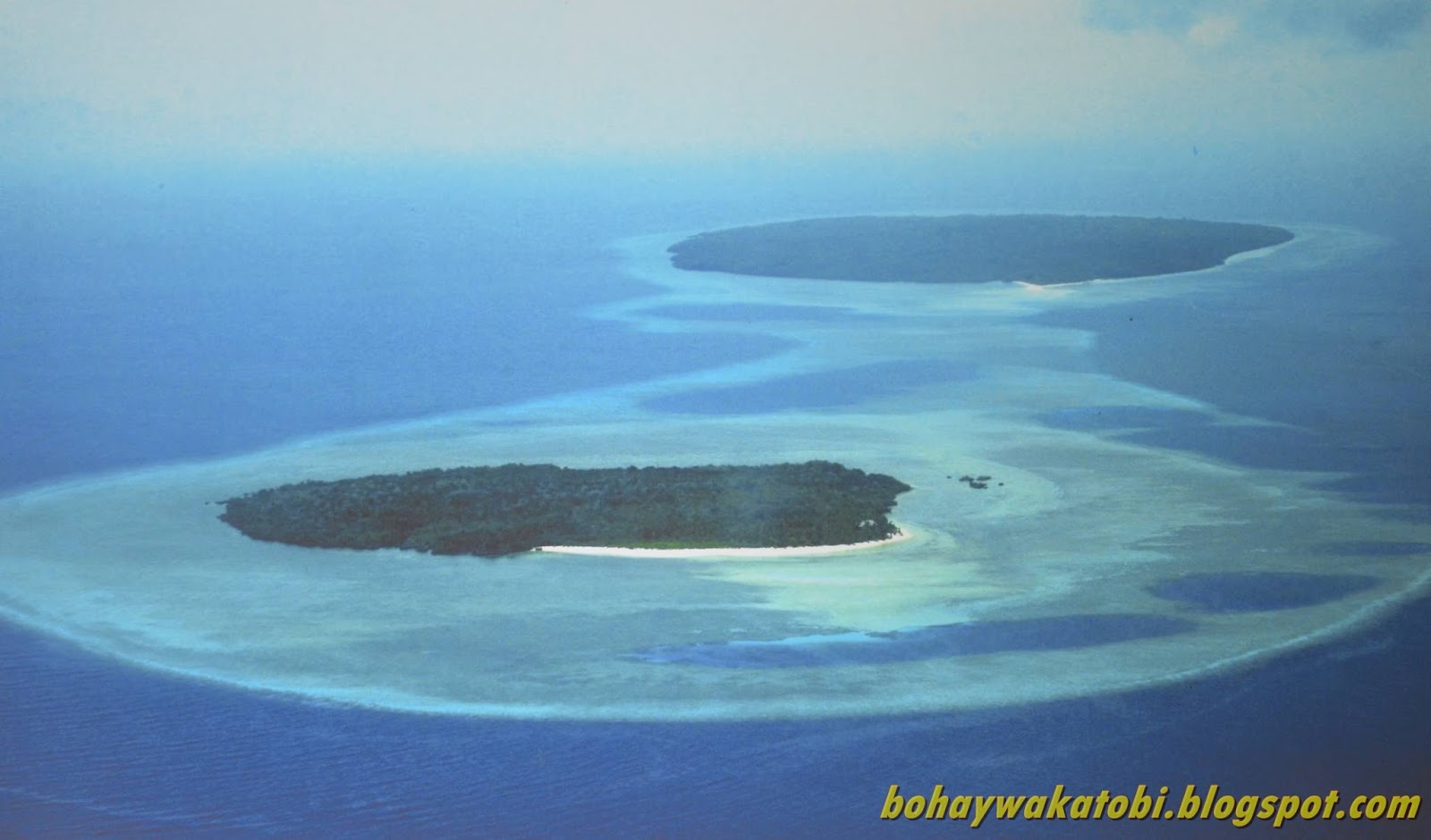 Taman nasional yang melindungi karang karang yang berbentuk atol di sulawesi adalah