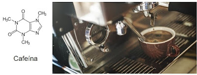 Unas de las principales referencias al sabor amargo es la cafeína. Molécula de cafeína. Taza de café.