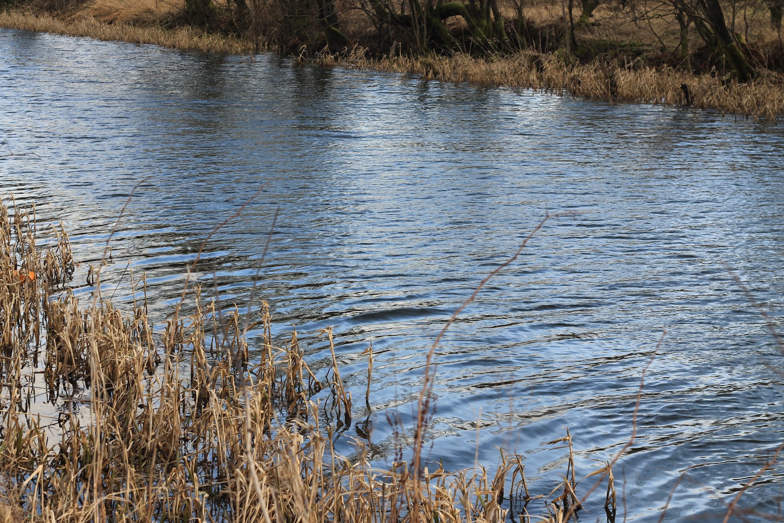 schiehallion Canalside Underwood Lockhouse to Bonnybridge