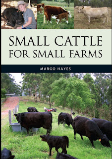 Small Cattle for Small Farms