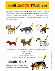 Please Do Not APPROACH dogs with yellow ribbons!!!