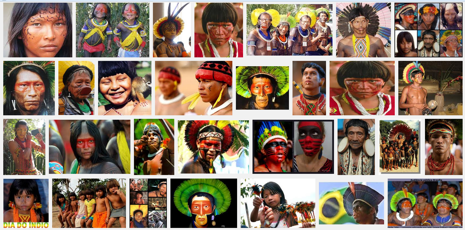 Índio Brasileiro, História da Cultura Indígena no Brasil
