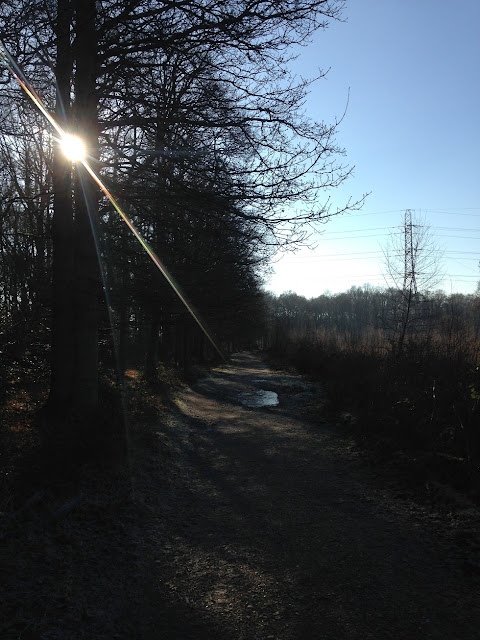 Looking south along Holt Lane, Hook, Hampshire