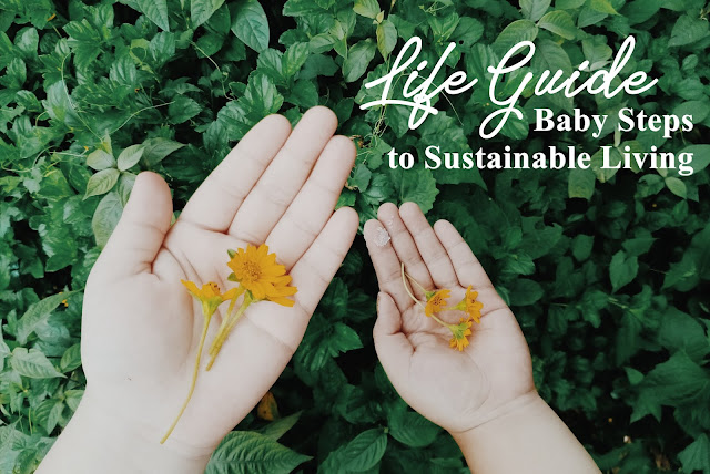 Steps to Sustainable Living