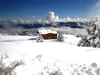 Imatges de l'última nevada del març a Coll de Pal
