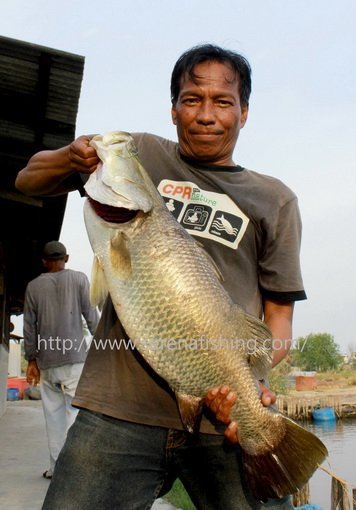 SERENA FISHING CLUB - KOLAM PANCING ACUN