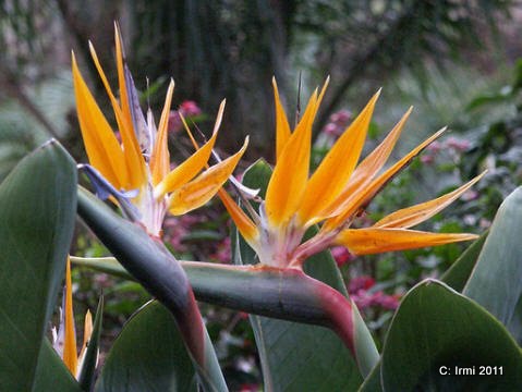 Dies Und Das Vom Neckarstrand Oktober 2014