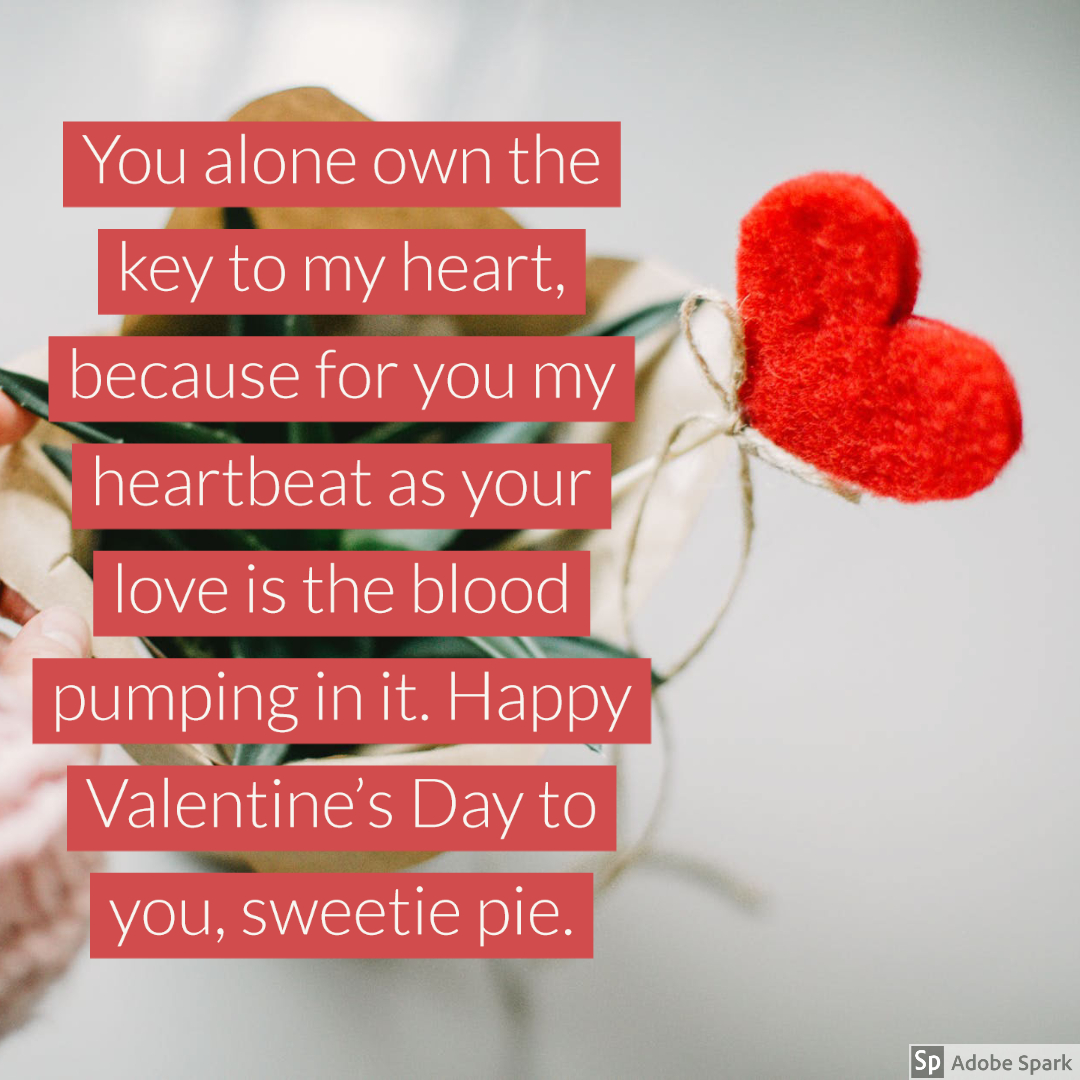 100+ Valentines Day Quotes and WhatsApp Status