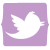 Share to Twitter
