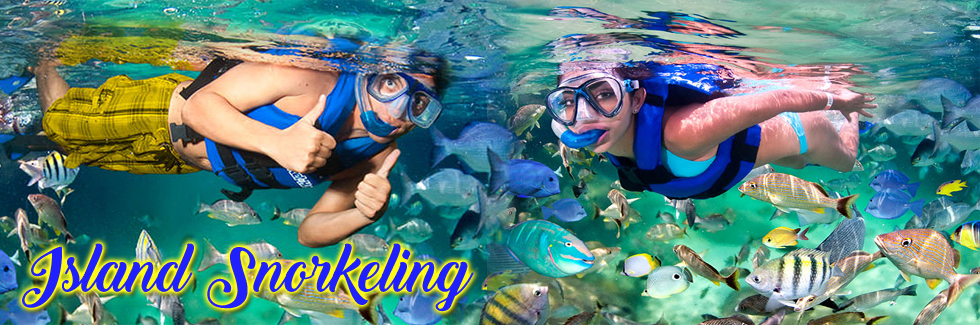 Island Snorkeling