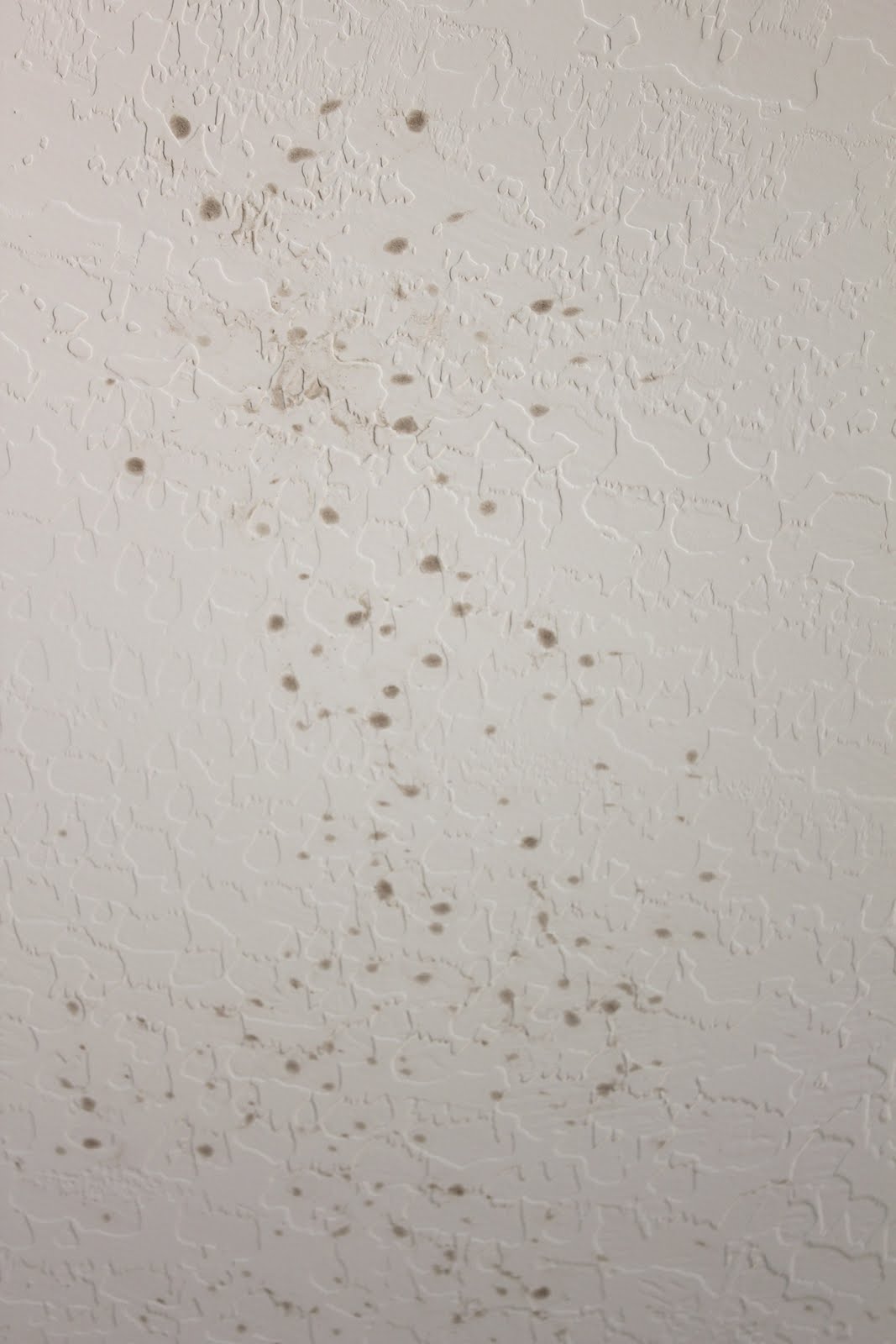 Jason's Test Kitchen The garage ceiling has a brown stain.