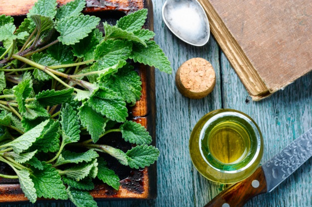 Prepare Lwil Melis pou Po Tèt ki ap Swe