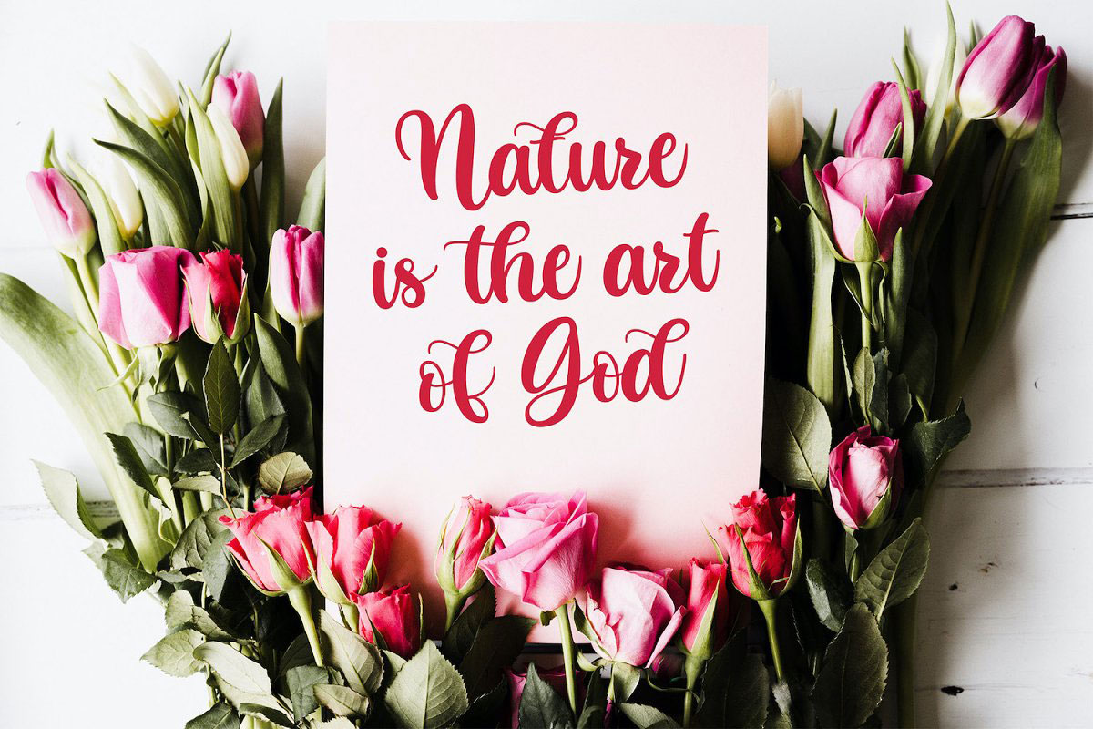 Butterfly Lovely Calligraphy Font 5209535 2 Butterfly Lovely Calligraphy Font 520953