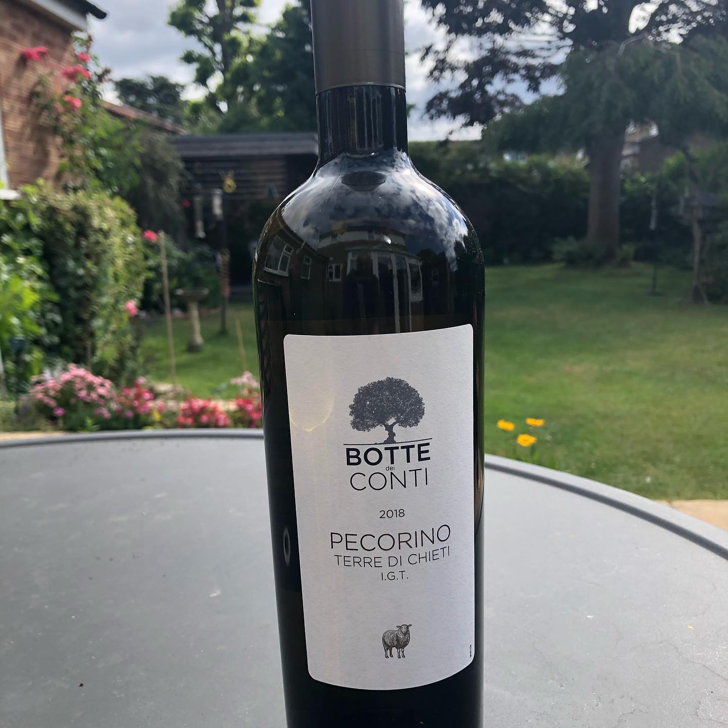 Terre Wine Cambridge Chieti Botte Conti de Pecorino, Blogger: di The