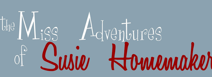 The Miss Adventures of Susie Homemaker