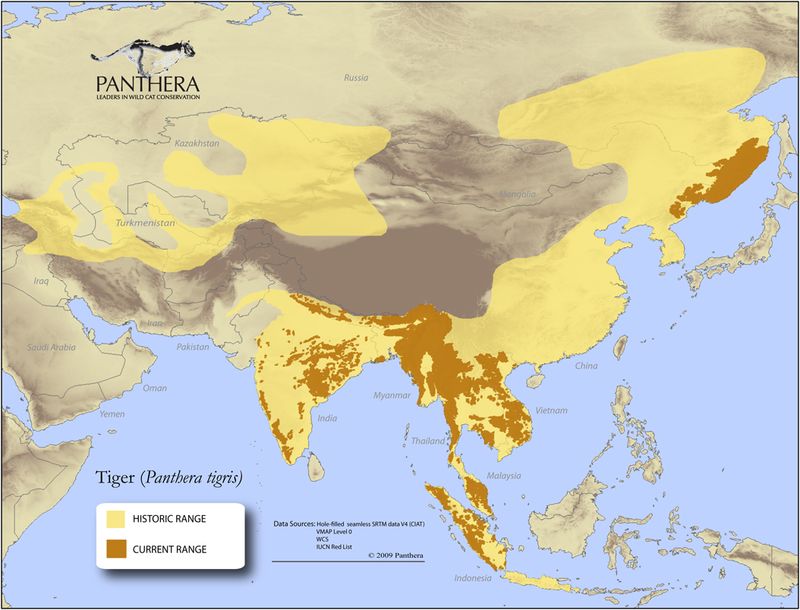 Tiger current and historic range