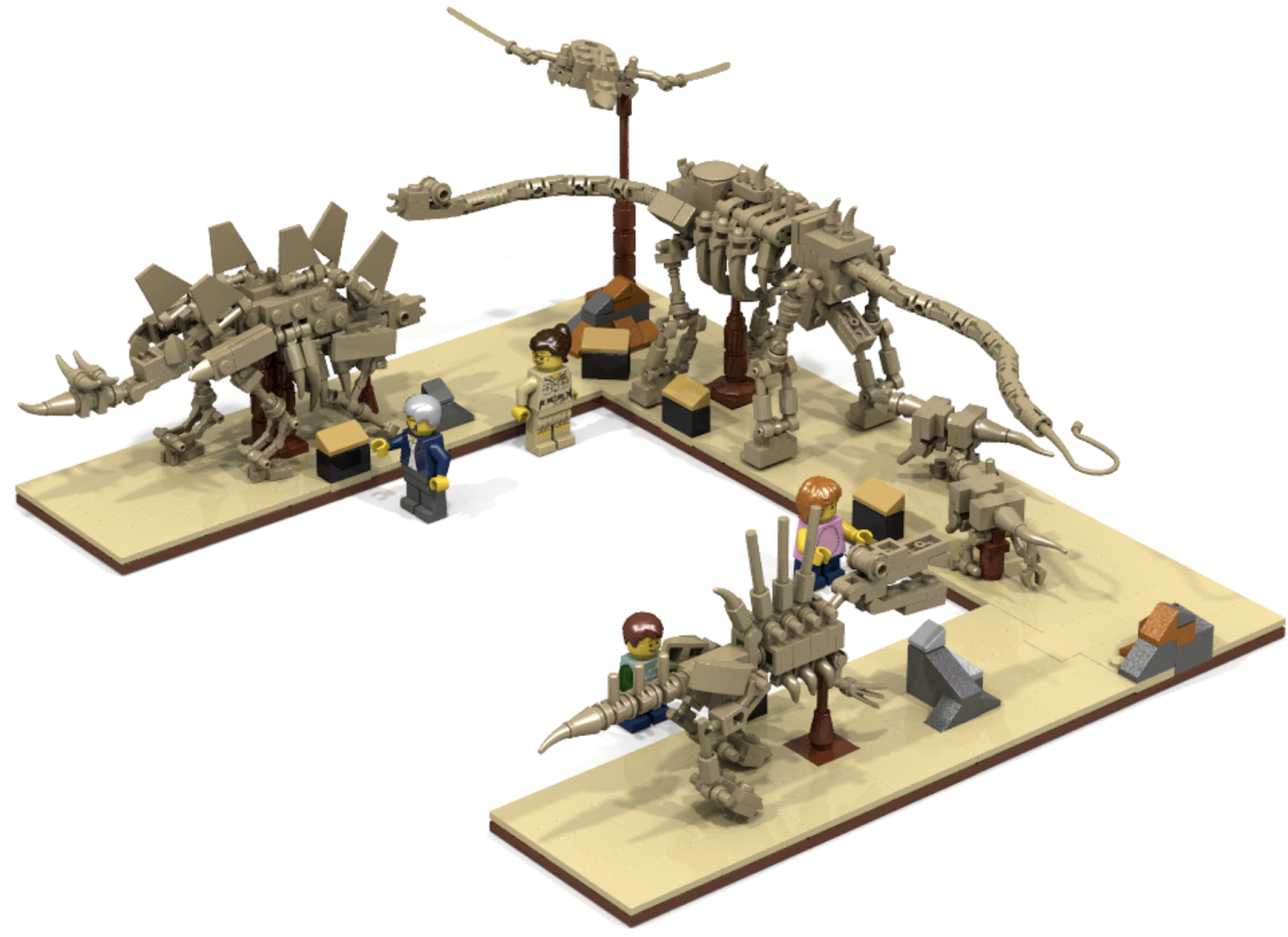 LEGO® Ideas review: 21320 Dinosaur Fossils | New Elementary: LEGO® parts,  sets and techniques