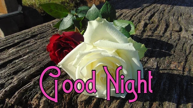 Good Night HD Images Good Night HD Images