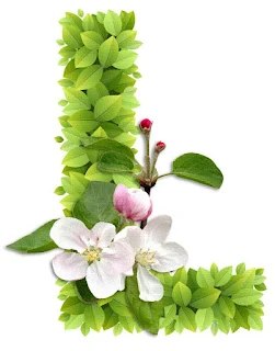 Abecedario con Hojas Verdes y Flores Blancas. Alphabet with Green Leaves and White Flowers.