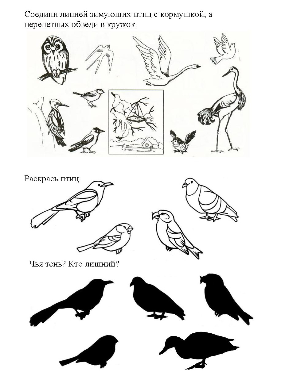 Конспект логопедического занятия перелетные птицы. Зимующие птицы задания логопеда. Задания для малышей зимующие и перелетные птицы. Перелетные птицы задания для дошкольников. Задания для детей перелетные и зимующие птицы.