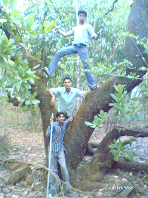 Me and my 3 friends jungle adventure