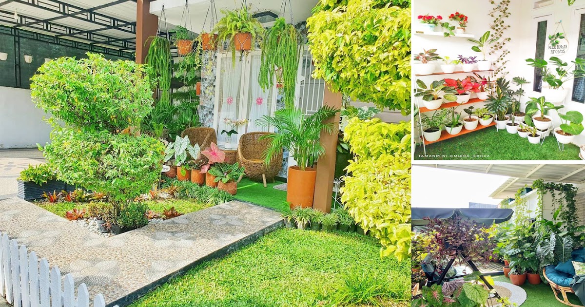 6 Desain Taman Minimalis dan Asri Cocok Untuk Rumah Mungil