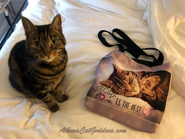 tabby cat with tote bag