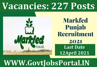 Punjab Markfed Recruitment 2021