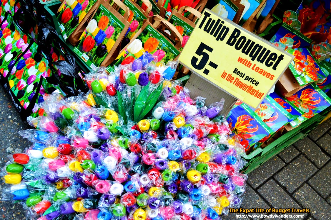 bowdywanders.com Singapore Travel Blog Philippines Photo :: Amsterdam :: The Surprisingly Smart Way to Find Holland Flowers in Amsterdam